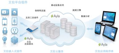 网络技术开发 动点科技的前沿探索与实践